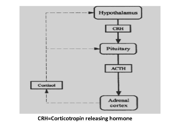 CRH=Corticotropin releasing hormone 