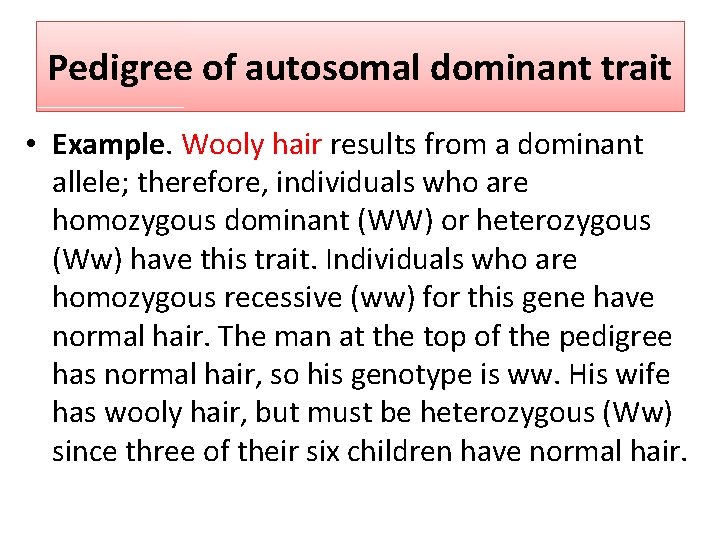 Pedigree of autosomal dominant trait • Example. Wooly hair results from a dominant allele;