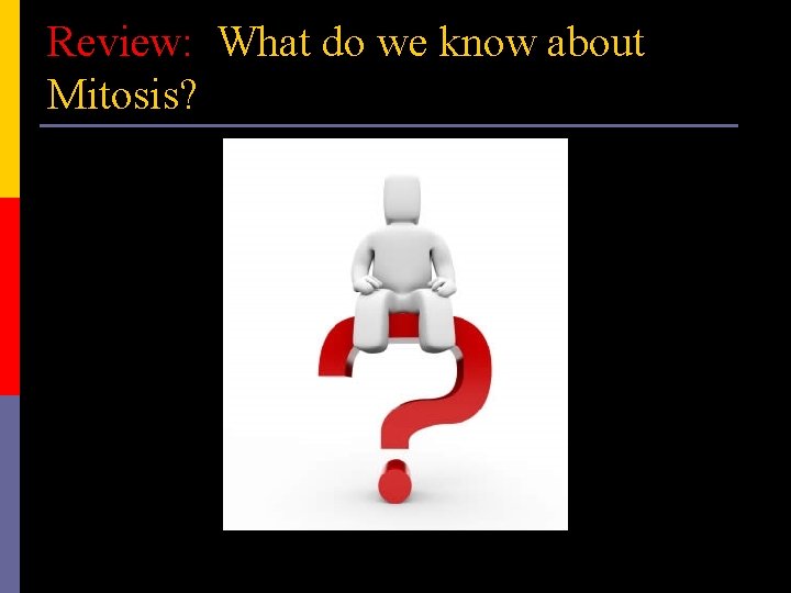 Review: What do we know about Mitosis? 
