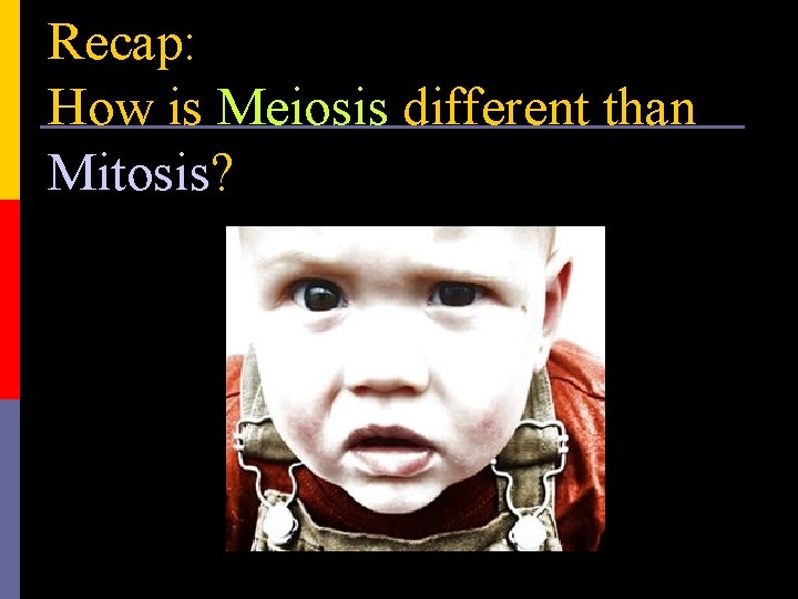 Recap: How is Meiosis different than Mitosis? 