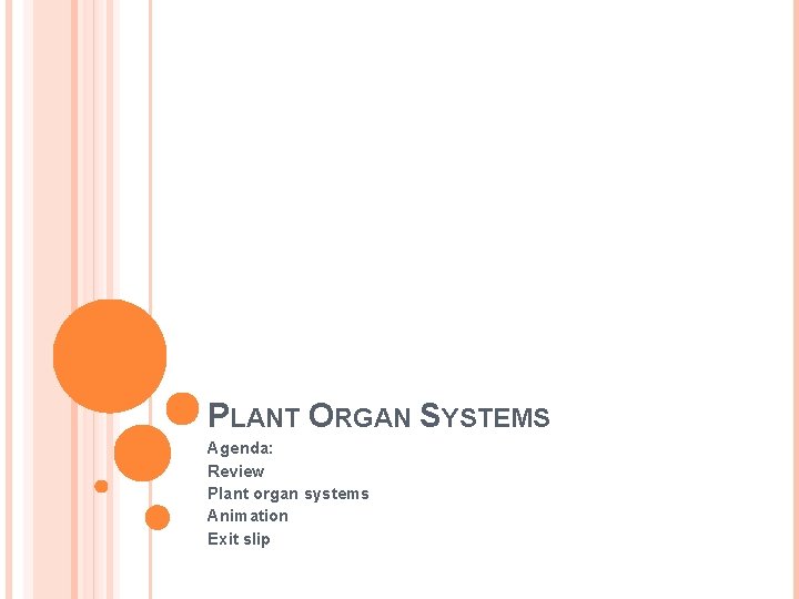 PLANT ORGAN SYSTEMS Agenda: Review Plant organ systems Animation Exit slip 