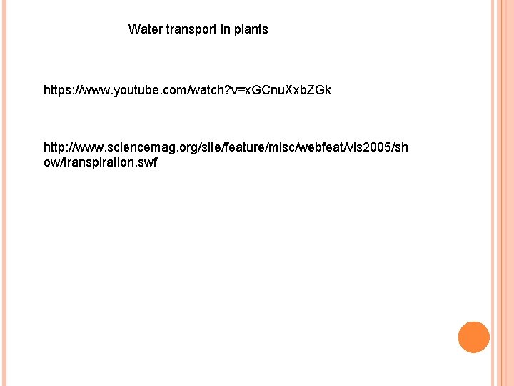 Water transport in plants https: //www. youtube. com/watch? v=x. GCnu. Xxb. ZGk http: //www.