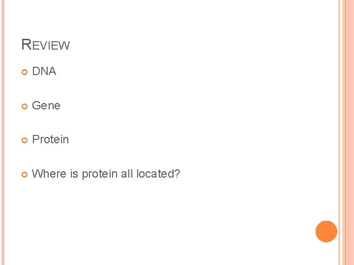 REVIEW DNA Gene Protein Where is protein all located? 