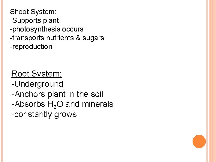 Shoot System: -Supports plant -photosynthesis occurs -transports nutrients & sugars -reproduction Root System: -Underground