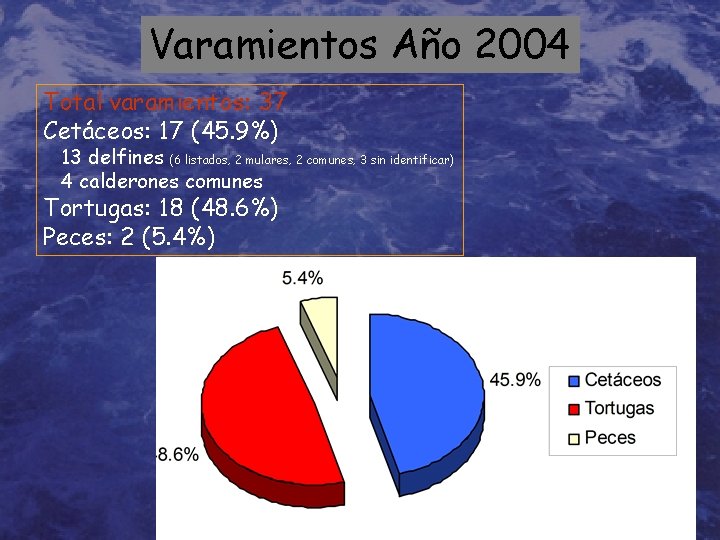 Varamientos Año 2004 Total varamientos: 37 Cetáceos: 17 (45. 9%) 13 delfines (6 listados,