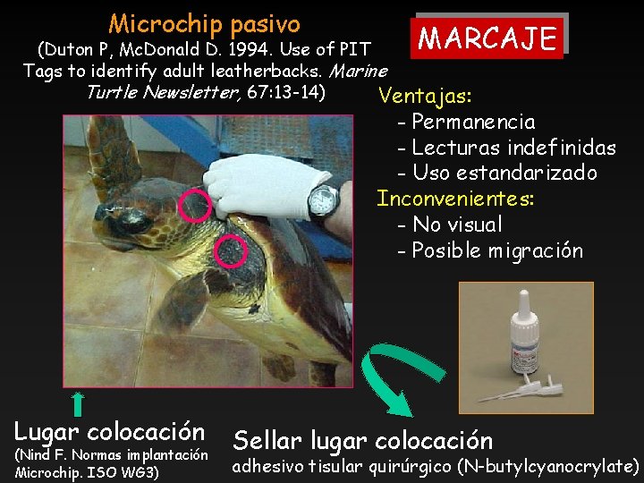 Microchip pasivo MARCAJE (Duton P, Mc. Donald D. 1994. Use of PIT Tags to