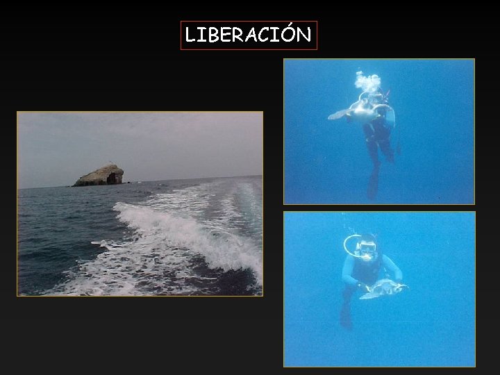 LIBERACIÓN 