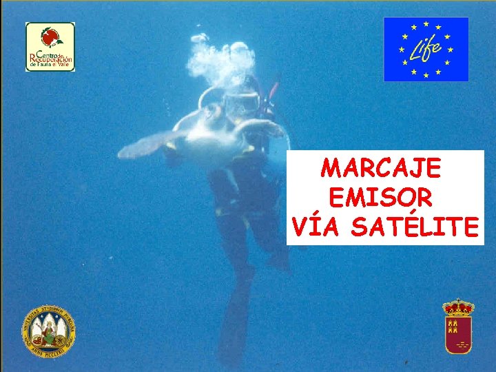 MARCAJE EMISOR VÍA SATÉLITE 