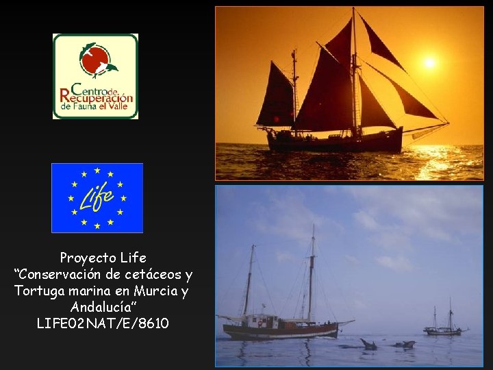 Proyecto Life “Conservación de cetáceos y Tortuga marina en Murcia y Andalucía” LIFE 02