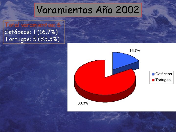 Varamientos Año 2002 Total varamientos: 6 Cetáceos: 1 (16. 7%) Tortugas: 5 (83. 3%)