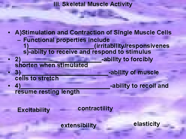 III. Skeletal Muscle Activity • A)Stimulation and Contraction of Single Muscle Cells – Functional III. Skeletal Muscle Activity • A)Stimulation and Contraction of Single Muscle Cells – Functional