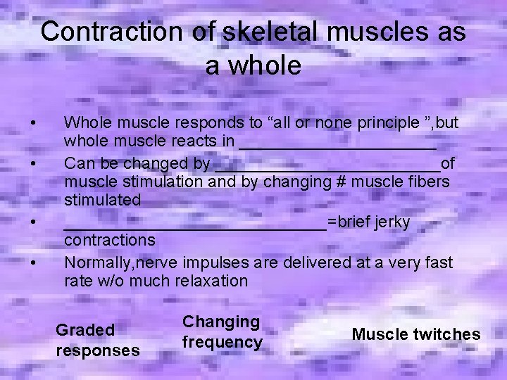 Contraction of skeletal muscles as a whole • • Whole muscle responds to “all Contraction of skeletal muscles as a whole • • Whole muscle responds to “all