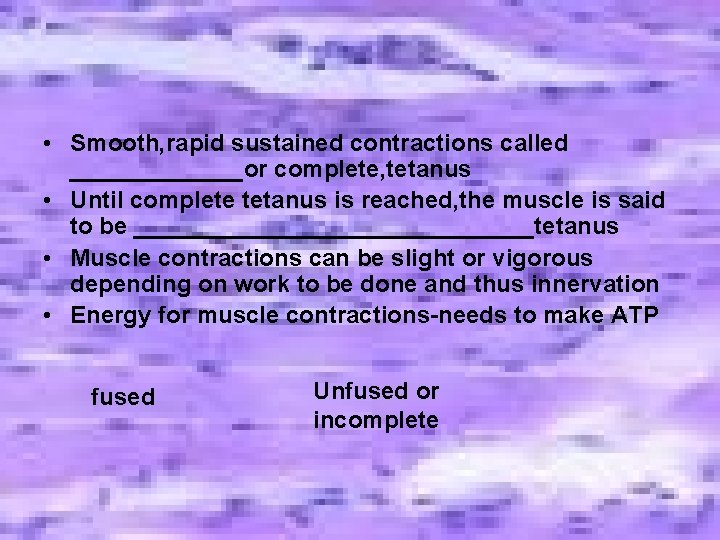 • Smooth, rapid sustained contractions called _______or complete, tetanus • Until complete tetanus • Smooth, rapid sustained contractions called _______or complete, tetanus • Until complete tetanus