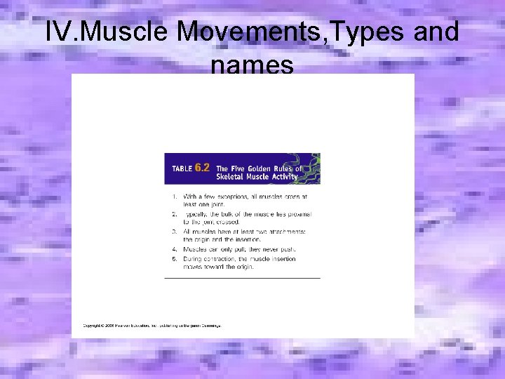 IV. Muscle Movements, Types and names IV. Muscle Movements, Types and names