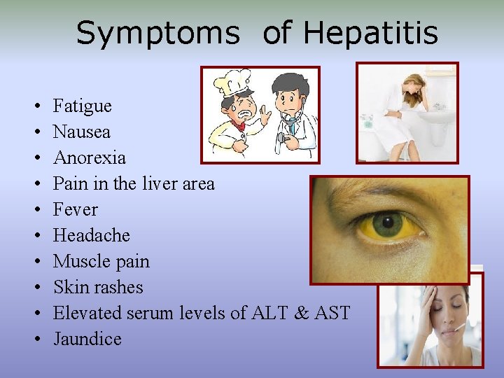 Symptoms of Hepatitis • • • Fatigue Nausea Anorexia Pain in the liver area