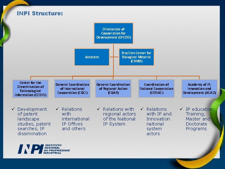 INPI Structure: Directorate of Cooperation for Development (DICOD) Assistant Center for the Dissemination of