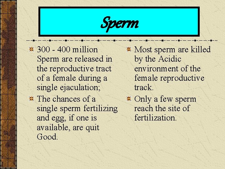 Sperm 300 - 400 million Sperm are released in the reproductive tract of a