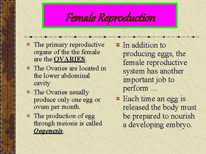 Female Reproduction The primary reproductive organs of the female are the OVARIES. The Ovaries