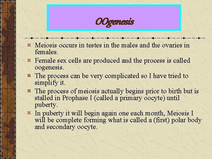 OOgenesis Meiosis occurs in testes in the males and the ovaries in females. Female