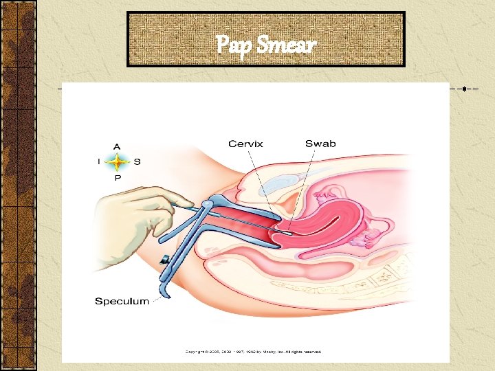 Pap Smear 