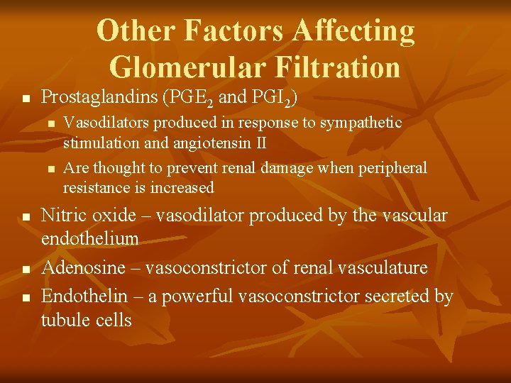 Other Factors Affecting Glomerular Filtration n Prostaglandins (PGE 2 and PGI 2) n n