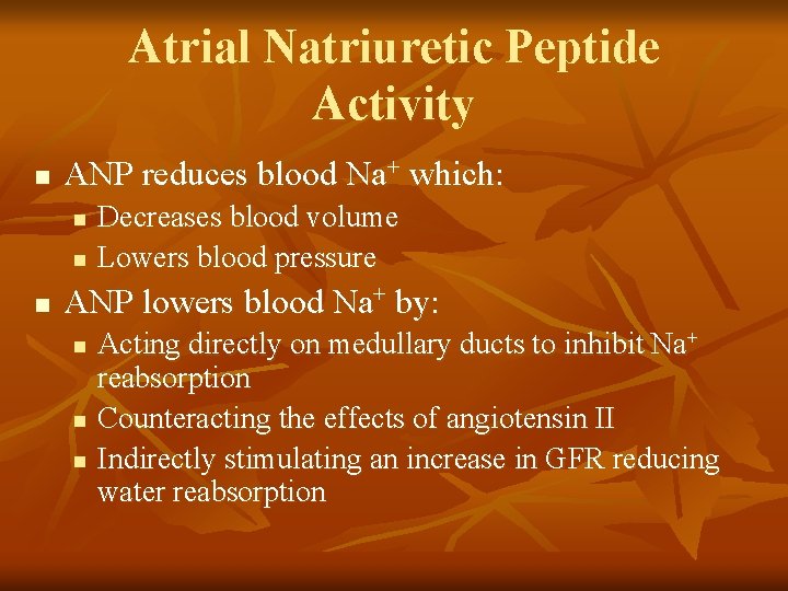 Atrial Natriuretic Peptide Activity n ANP reduces blood Na+ which: n n n Decreases