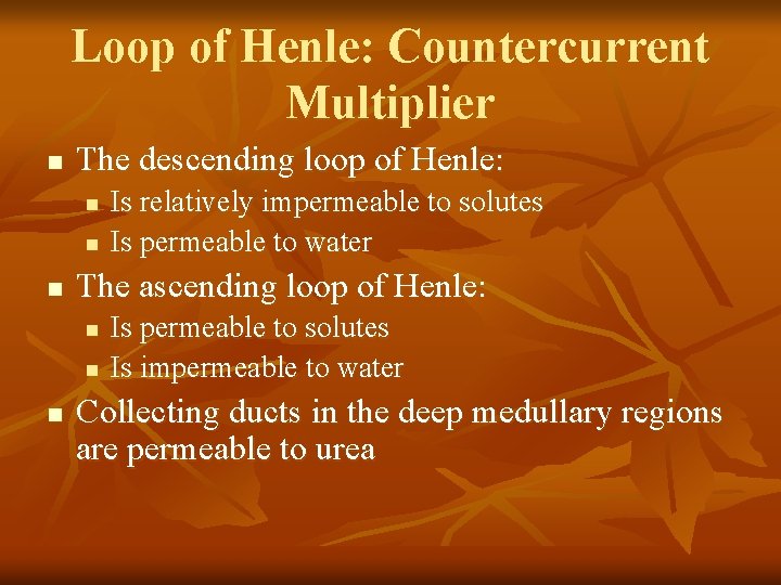 Loop of Henle: Countercurrent Multiplier n The descending loop of Henle: n n n