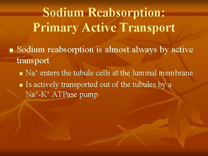 Sodium Reabsorption: Primary Active Transport n Sodium reabsorption is almost always by active transport