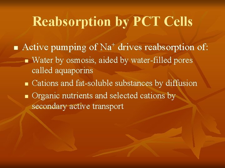 Reabsorption by PCT Cells n Active pumping of Na+ drives reabsorption of: n n