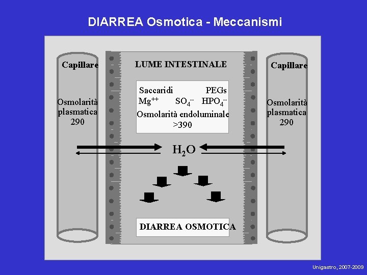 DIARREA Osmotica - Meccanismi Capillare LUME INTESTINALE Capillare Osmolarità plasmatica 290 Saccaridi PEGs Mg++