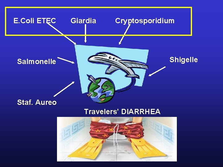 E. Coli ETEC Giardia Cryptosporidium Shigelle Salmonelle Staf. Aureo Travelers’ DIARRHEA 