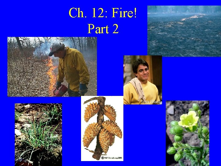 Ch. 12: Fire! Part 2 