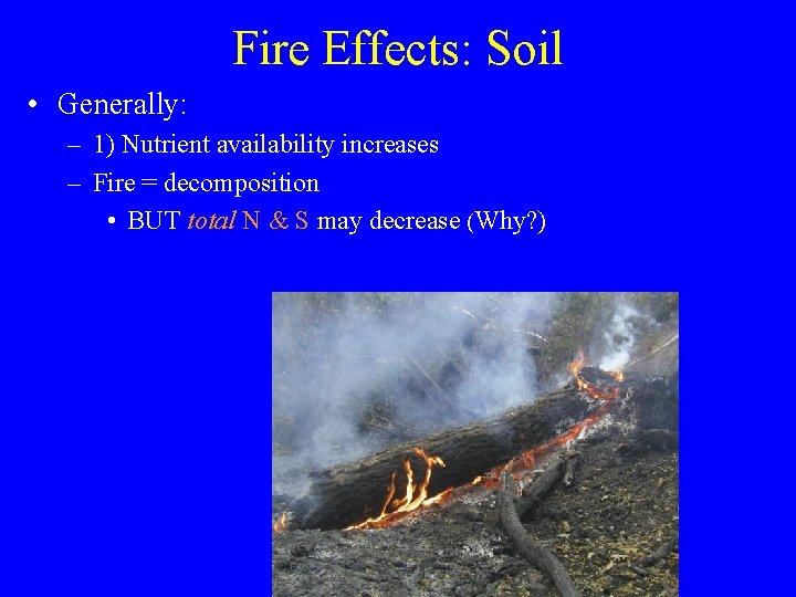 Fire Effects: Soil • Generally: – 1) Nutrient availability increases – Fire = decomposition