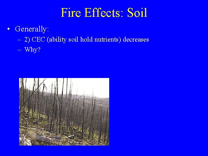 Fire Effects: Soil • Generally: – 2) CEC (ability soil hold nutrients) decreases –