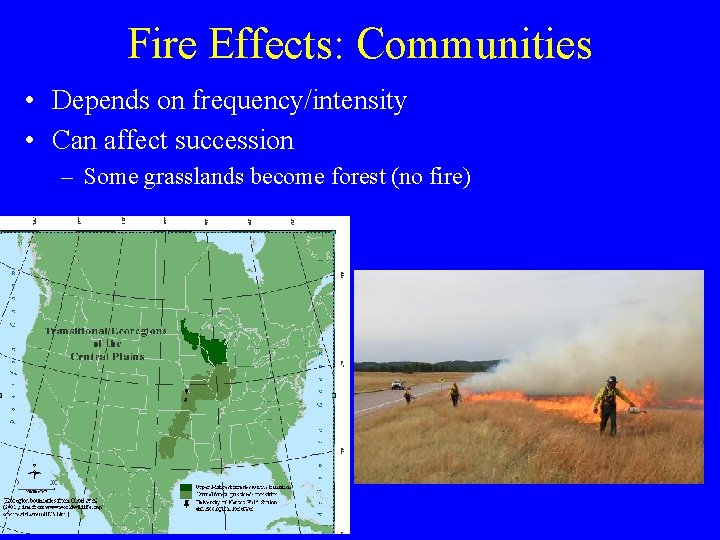 Fire Effects: Communities • Depends on frequency/intensity • Can affect succession – Some grasslands