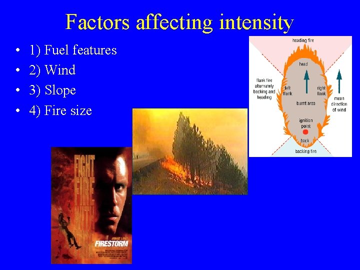 Factors affecting intensity • • 1) Fuel features 2) Wind 3) Slope 4) Fire