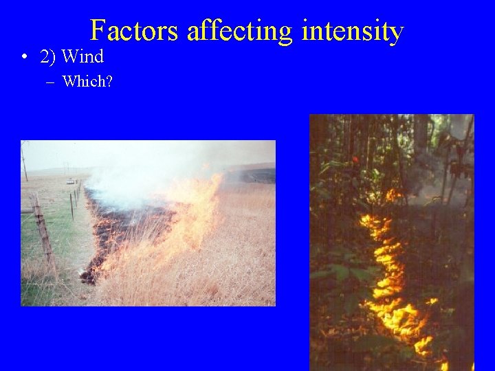 Factors affecting intensity • 2) Wind – Which? 