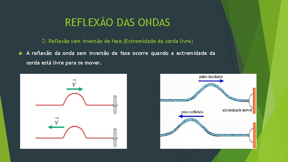 REFLEXÃO DAS ONDAS 2 - Reflexão sem inversão de fase (Extremidade da corda livre)