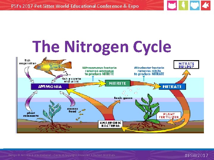 PSI’s 2017 Pet Sitter World Educational Conference & Expo The Nitrogen Cycle Design ©