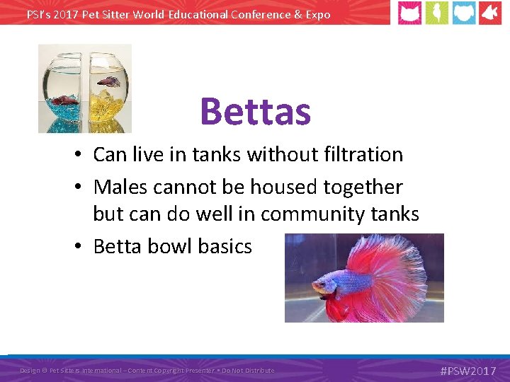 PSI’s 2017 Pet Sitter World Educational Conference & Expo Bettas • Can live in