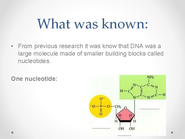 What was known: • From previous research it was know that DNA was a