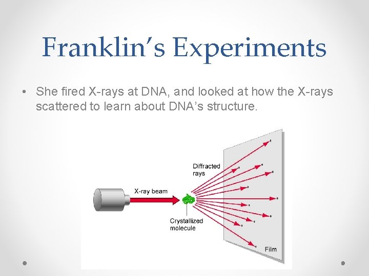 Franklin’s Experiments • She fired X-rays at DNA, and looked at how the X-rays