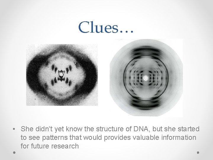 Clues… • She didn’t yet know the structure of DNA, but she started to