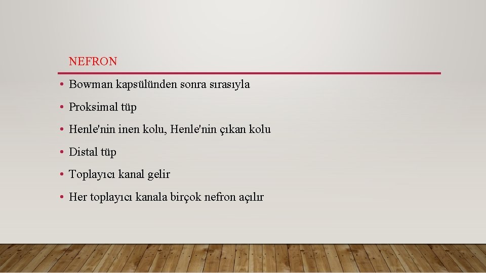 NEFRON • Bowman kapsülünden sonra sırasıyla • Proksimal tüp • Henle'nin inen kolu, Henle'nin