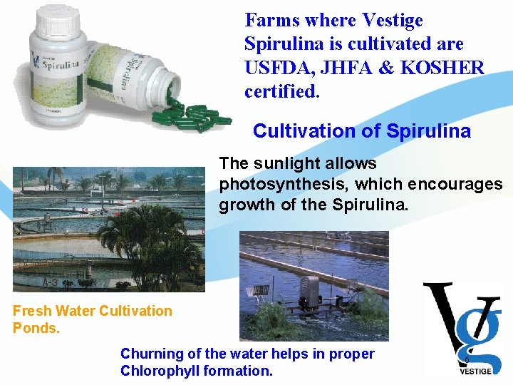 Farms where Vestige Spirulina is cultivated are USFDA, JHFA & KOSHER certified. Cultivation of