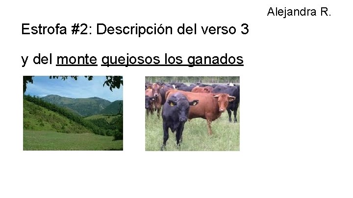 Alejandra R. Estrofa #2: Descripción del verso 3 y del monte quejosos los ganados