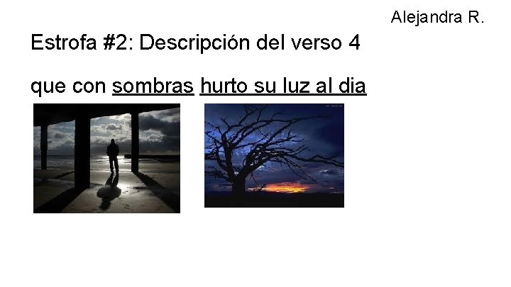 Alejandra R. Estrofa #2: Descripción del verso 4 que con sombras hurto su luz