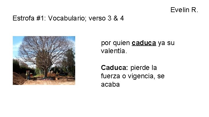 Evelin R. Estrofa #1: Vocabulario; verso 3 & 4 por quien caduca ya su