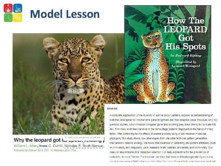 Model Lesson 