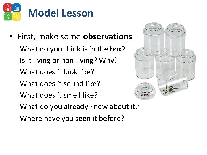 Model Lesson • First, make some observations What do you think is in the